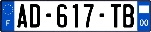 AD-617-TB