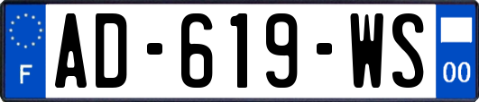 AD-619-WS