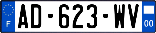 AD-623-WV