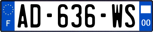 AD-636-WS