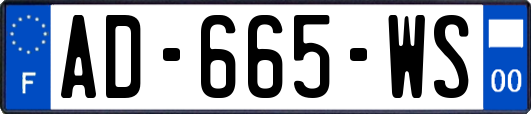 AD-665-WS