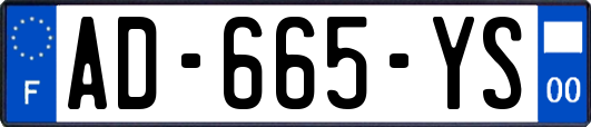 AD-665-YS