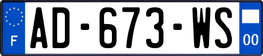 AD-673-WS