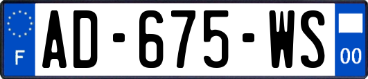 AD-675-WS