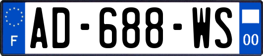 AD-688-WS
