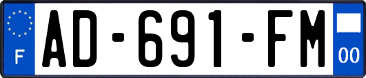 AD-691-FM