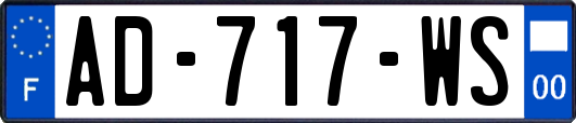 AD-717-WS