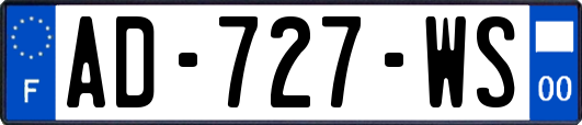 AD-727-WS