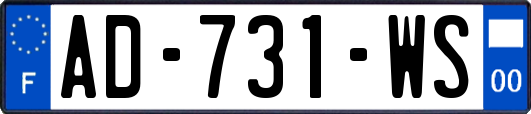 AD-731-WS