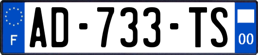 AD-733-TS