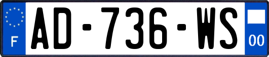 AD-736-WS