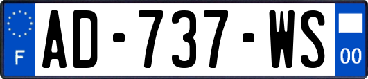 AD-737-WS