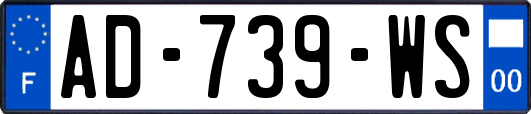 AD-739-WS