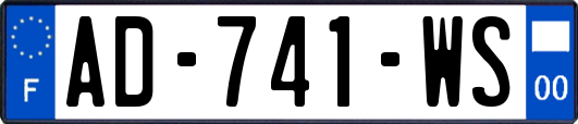 AD-741-WS