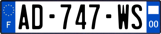 AD-747-WS