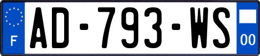 AD-793-WS