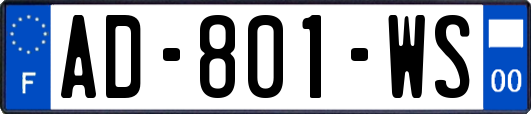 AD-801-WS