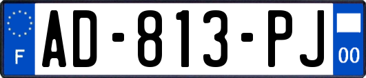 AD-813-PJ
