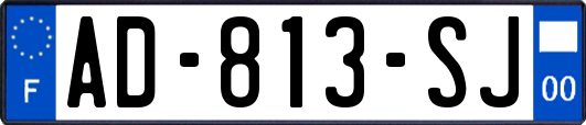 AD-813-SJ