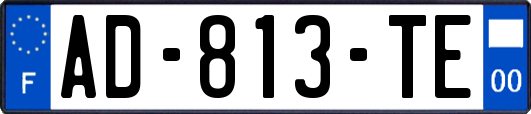 AD-813-TE