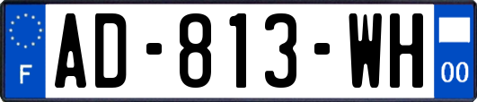 AD-813-WH