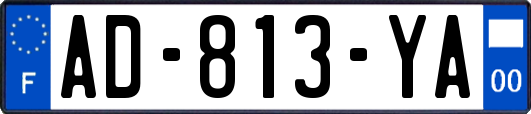 AD-813-YA