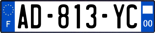 AD-813-YC