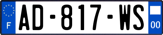 AD-817-WS