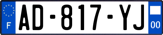 AD-817-YJ