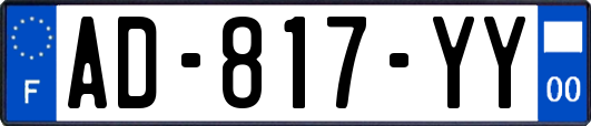 AD-817-YY