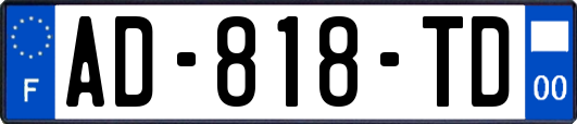 AD-818-TD