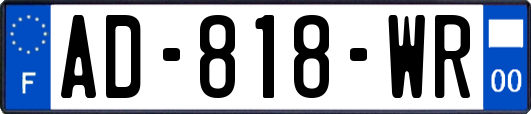 AD-818-WR