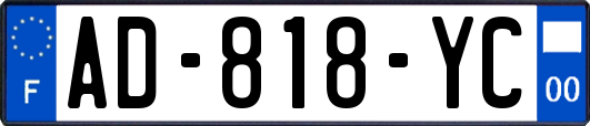 AD-818-YC