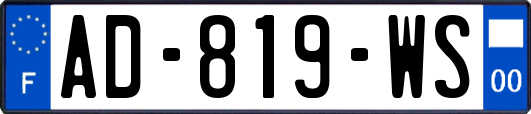 AD-819-WS