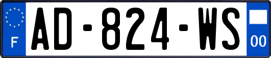AD-824-WS