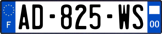 AD-825-WS