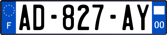 AD-827-AY
