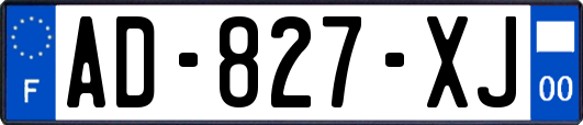 AD-827-XJ