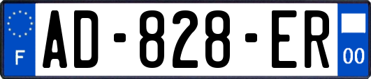 AD-828-ER