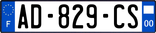 AD-829-CS