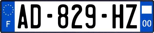 AD-829-HZ