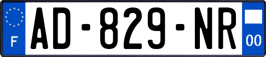 AD-829-NR