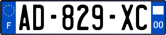 AD-829-XC
