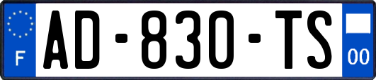 AD-830-TS