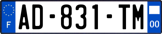 AD-831-TM