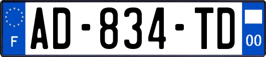 AD-834-TD