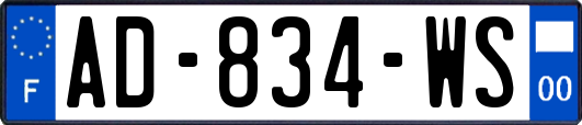 AD-834-WS