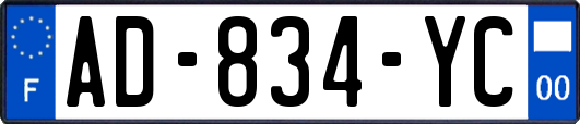 AD-834-YC