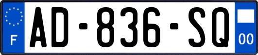 AD-836-SQ