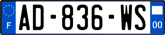 AD-836-WS